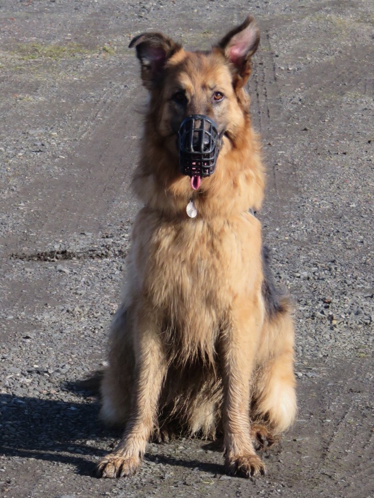 44997161-DAEC-4F09-B2A2-32E07ED06B03